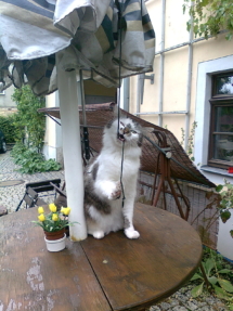 Foto0448